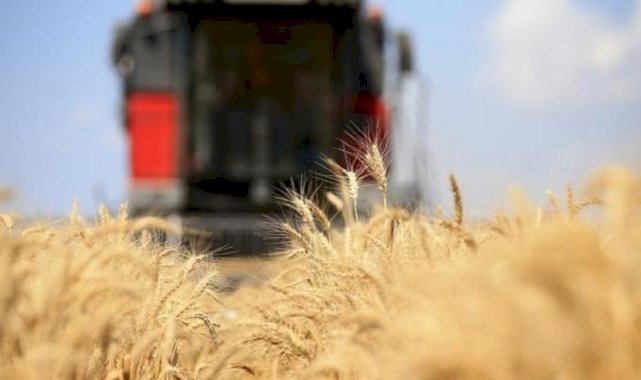 FAO: Küresel gıda fiyatları 30 ayın en düşük seviyesine indi