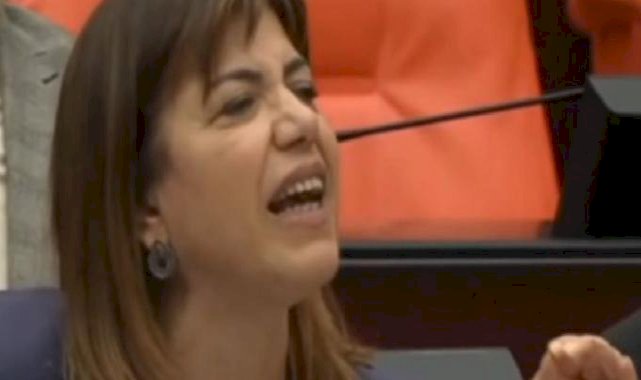 Osman Gökçek ile Meral Danış Beştaş arasında Öcalan tartışması