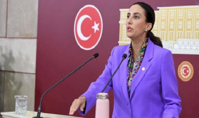 Rızvanoğlu: "Çin'in, AB'nin ülkesine sokmadığı çöpü neden bizim ülkemize sokuyorsunuz?"