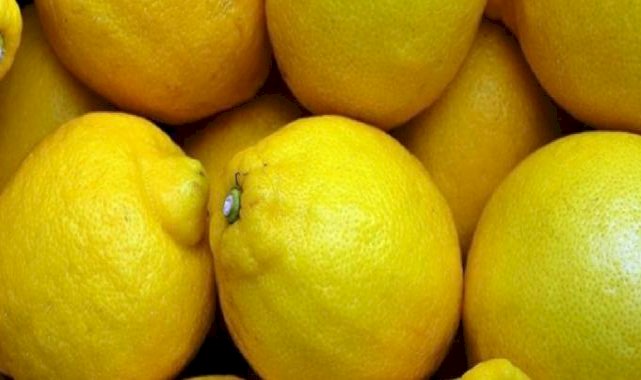 TZOB: Üretici ile market arasındaki fiyat farkı en fazla yüzde 683 ile limonda