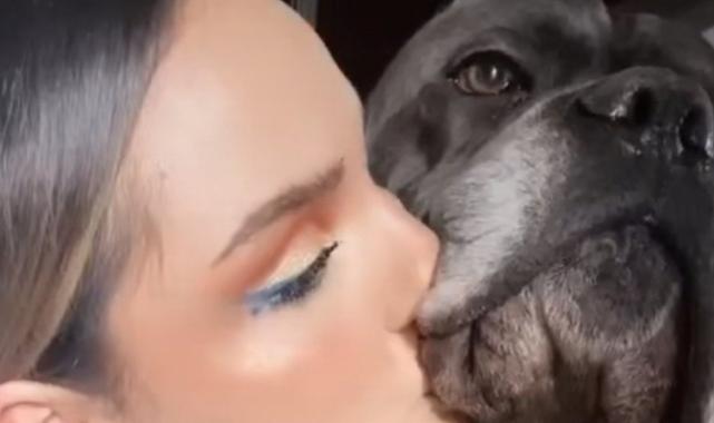 Ünlü fenomene 8 yıldır birlikte yaşadığı köpeği saldırdı