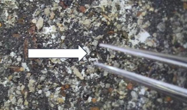 Uzaylılar mı yaptı? Okyanusun dibinde keşfedilen gizemli metal kürelerin ne olduğu ortaya çıktı