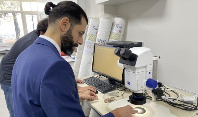 Uzmanlar kahverengi kokarca böceğine karşı samuray arıcığını önerdi