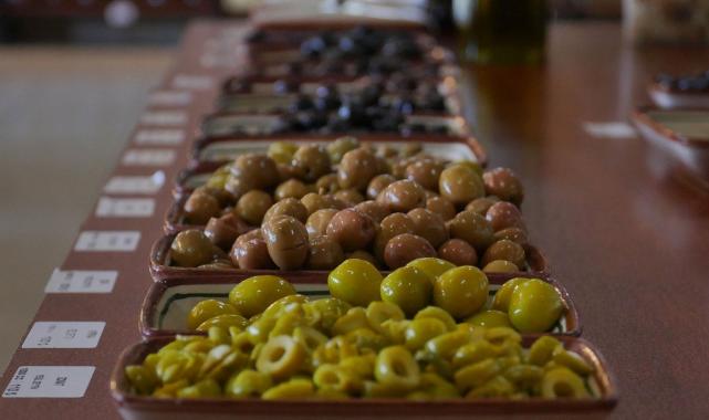 Zeytinyağında yeni yıla 50 bin ton stokla girilecek