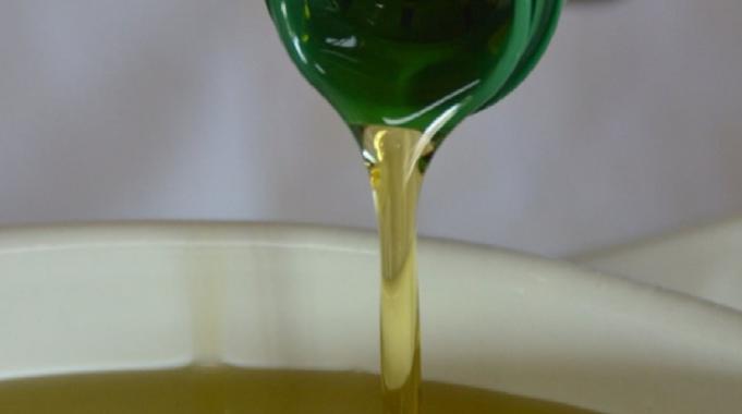 Zeytinyağında yeni yıla 50 bin ton stokla girilecek