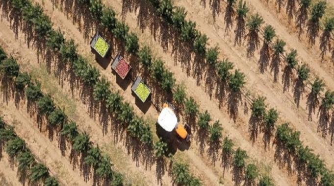 AB'den Türkiye'ye 555 milyon euro tarımsal destek