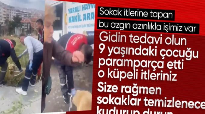 Ankara&#039;da köpekleri toplayan belediye görevlilerine kadınlardan tepki