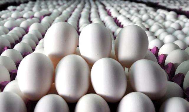 "B12'im yerlerde" kervanı! Bunu yiyenin deposu fulleniyor...