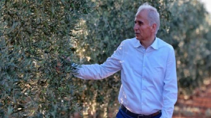 Denizli&#039;de zeytin seferberliği