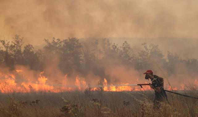 Dünyanın 2023 yılındaki büyük mücadelesi: Orman yangınları