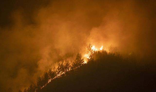 Dünyanın 2023 yılındaki büyük mücadelesi: Orman yangınları