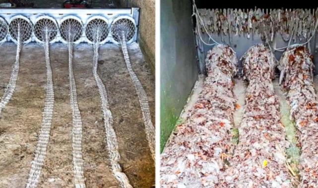 Dünyayı daha yaşanabilir hale getiren 10 teknoloji