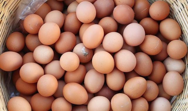 Ekim ayında tavuk eti ve yumurta üretimi arttı