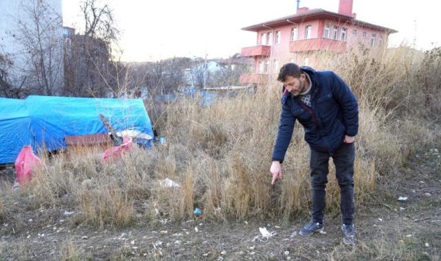 Kastamonu'da sokak köpeği dehşeti! Geçim kaynağı telef oldu