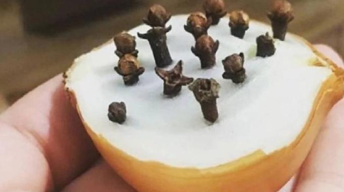 Soğana karanfil batırın, etkisine şaşırın...