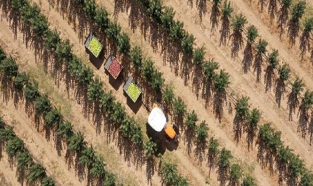 AB'den Türkiye'ye 555 milyon euro tarımsal destek