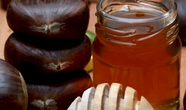 Aç karnına kestane balı yiyin, neler oluyor bakın...