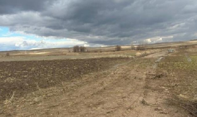 Binlerce ton pancar tarlada kaldı!