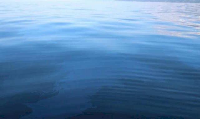 Rize'de petrol rüyası gerçek oldu! Günde 1 ton petrol denizin yüzeyine çıkıyor