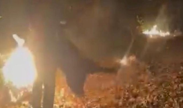 Sarıyer'de korkunç olay! Ateş topuna dönen adam çığlık çığlığa can verdi...