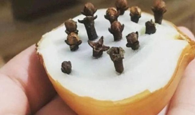 Soğana karanfil batırın, etkisine şaşırın...
