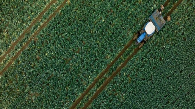 Tarım üretici enflasyonu kasımda geriledi