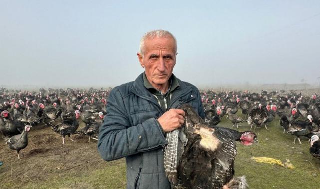 Tekirdağlı çiftçi ilgiden memnun! Yani yıl öncesi hindiler kapış kapış gitti