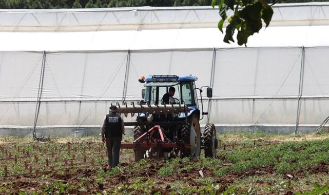Türkiye, 19 tarım ürünü üretiminde dünyada ilk 4'te