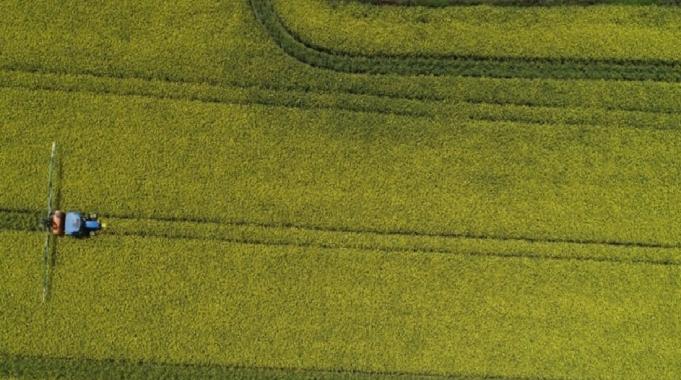 Türkiye, 19 tarım ürünü üretiminde dünyada ilk 4'te