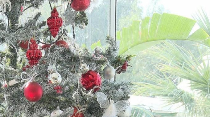 Yılbaşı tatili 3 güne uzayınca otellerin yüzde 70'i şimdiden doldu