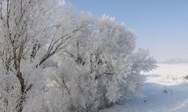 Yüksekova’da uçak seferlerine sis engeli