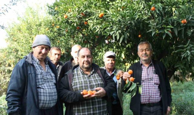 Adana'da portakalın kilosu bahçede 3 lira, markette 45 lira