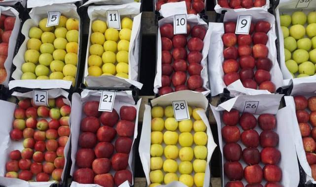 Ağaç sayısı azaldı! Bolu'da Seben elmasının üretimi yüzde 52 düştü