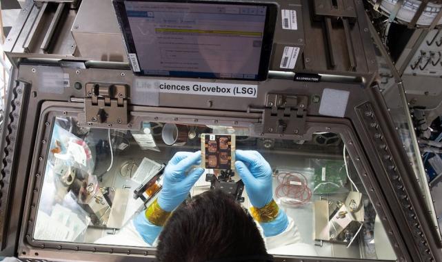 Alper Gezeravcı ve ekibinin uzayda gerçekleştireceği 13 deney