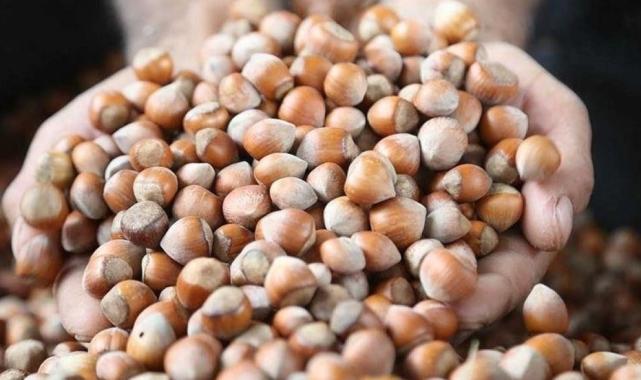 Avrupa'daki enflasyon sorunu Trabzon'un fındık ihracatını kısıtladı