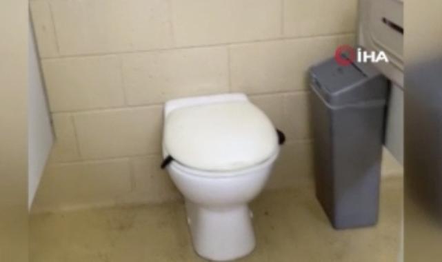 Avusturalya'da korkunç görüntü! Klozet kapağının altından yılan çıktı...