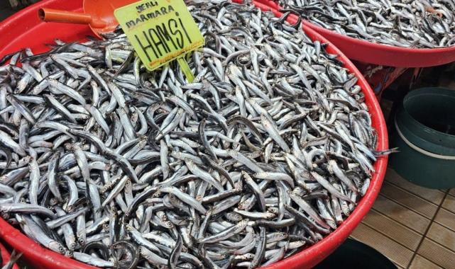 Balıkesir'de fırtına balık fiyatlarını artırdı! Uygun fiyat için havanın düzelmesi bekleniyor