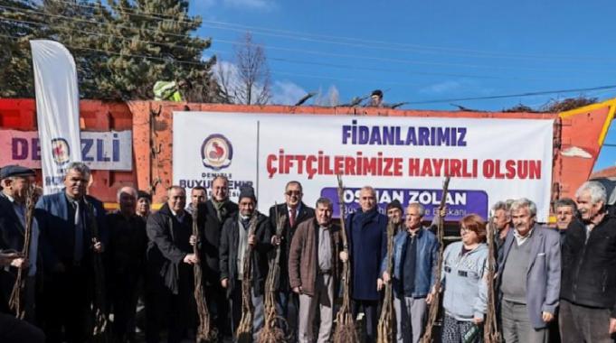 Cevizin merkezi Denizli olacak