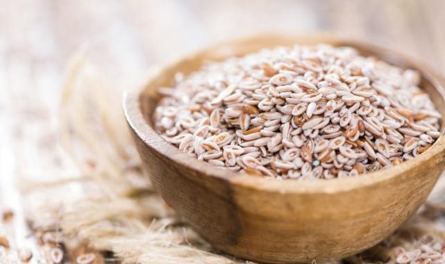 Dışkıyı bile etkiliyor! Karnıyarık otu nedir, ne işe yarar? Karnıyarık otu tozu faydaları