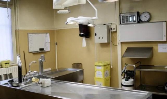 İspanya'da ceset çalıp tıp fakültelerine satan örgüt çökertildi