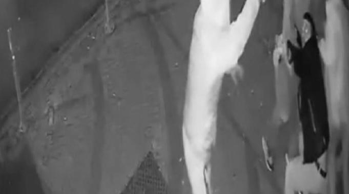 İstanbul&#039;da gündem olan kavgadan yeni görüntüler! Aracını kavga ettiği kişilerin üzerine sürmüştü...