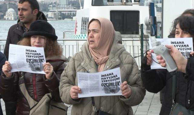 İstanbul'da hayvanseverlerden sokak köpeği eylemi