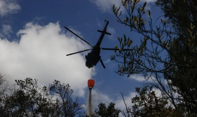 Kolombiya'da orman yangınları devam ediyor: 681 kasabada kırmızı alarm verildi