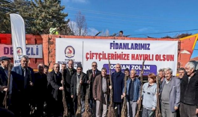 Cevizin merkezi Denizli olacak