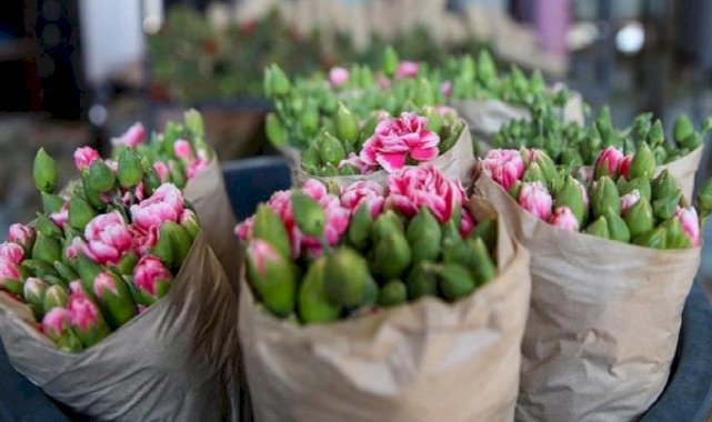 Çiçek sektörü 2024 hedefini açıkladı! 180 milyon dolarlık ihracat
