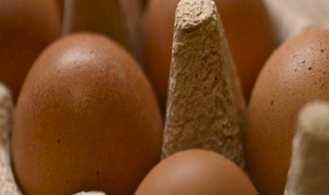 İkinci yumurta ihracat partisi Türkiye'den Rusya'ya ulaştı