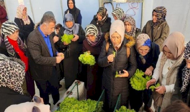 Kocaeli'nde topraksız tarıma kadın çiftçilerden yoğun ilgi