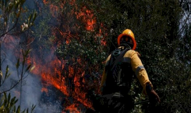 Kolombiya'da orman yangınları devam ediyor: 681 kasabada kırmızı alarm verildi