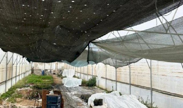 Manisa'da üreticiye sera naylon desteği