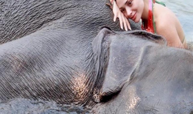 Oyuncu Rabia Soytürk'ün fille pozları olay oldu! Filin burnuna oturduğu kareye yorum yağdı
